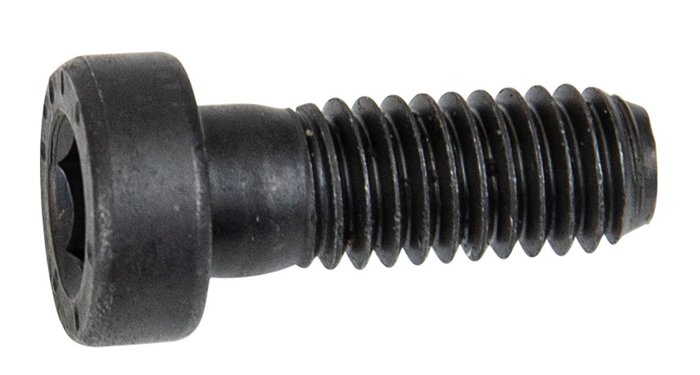 Forstreich Cylinder Head Screw M6 x 16 for TR 30 AQ