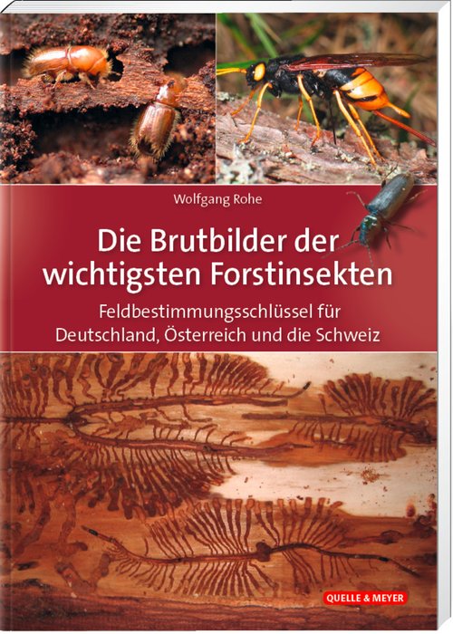 Die Brutbilder der wichtigsten Forstinsekten (Breeding behaviour of the most important forest insects) Text in German.