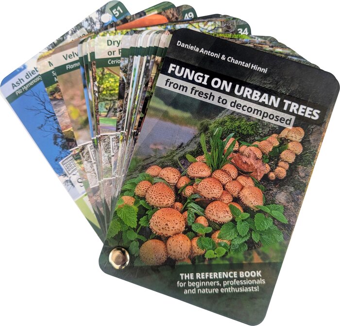 Identification Cards - Fungi on Urban Trees, English Version