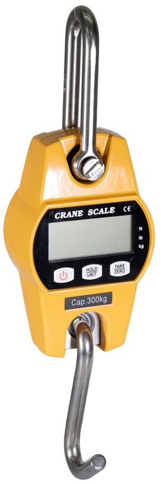 Electronic Game Scale