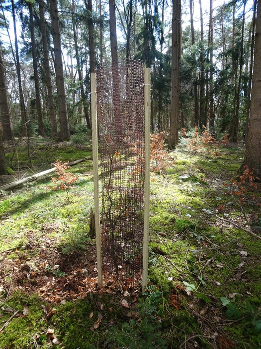 PlantaGard Free-growth Bio 200 tree protection mesh cover