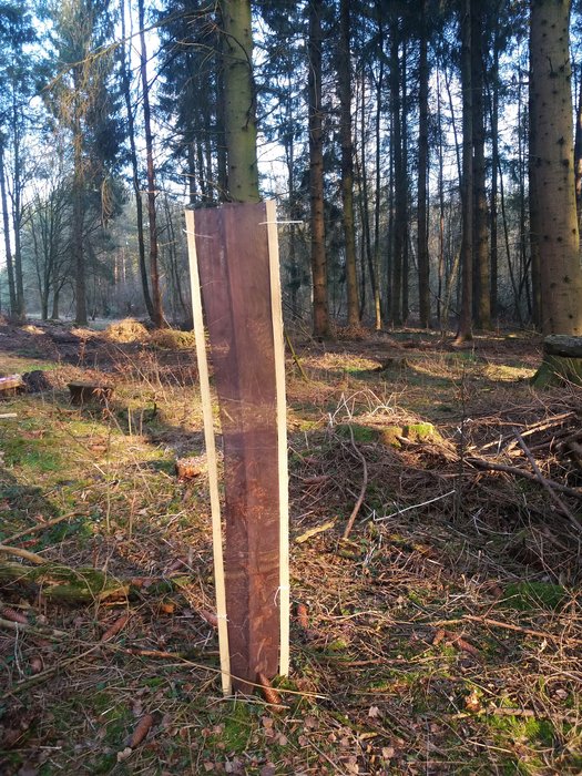 PlantaGard Free-growth-Bio-Light 120 tree protection mesh sleeve