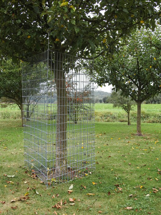Wire Lattice Section for Individual Tree Protection 150 x 100 cm