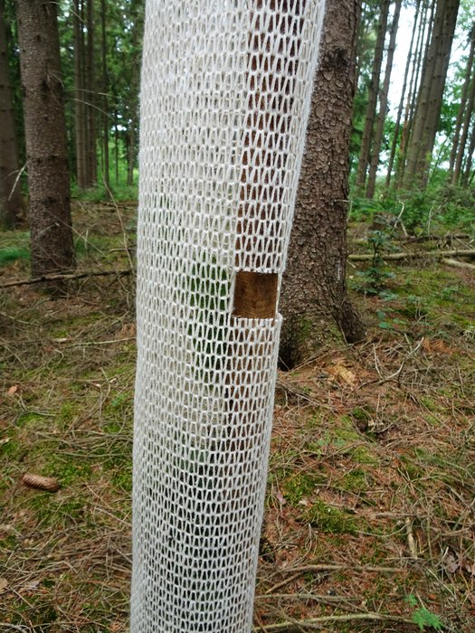 Buck Organic Growing Sleeve Buckshülle