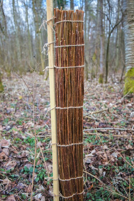 Organic Willow Growth Sleeve