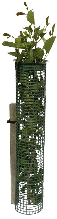 Tubex Treeguard growth and protective cover