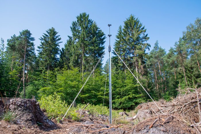 Slot Trap Stands, Star Shaped