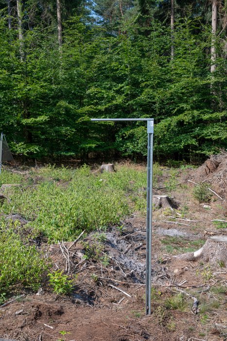 Single Pole Stand for Bark Beetle Slot Traps