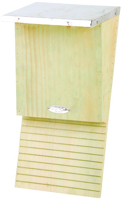 wooden bat box
