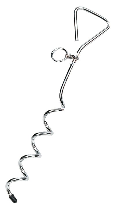 Anchor peg for dogs