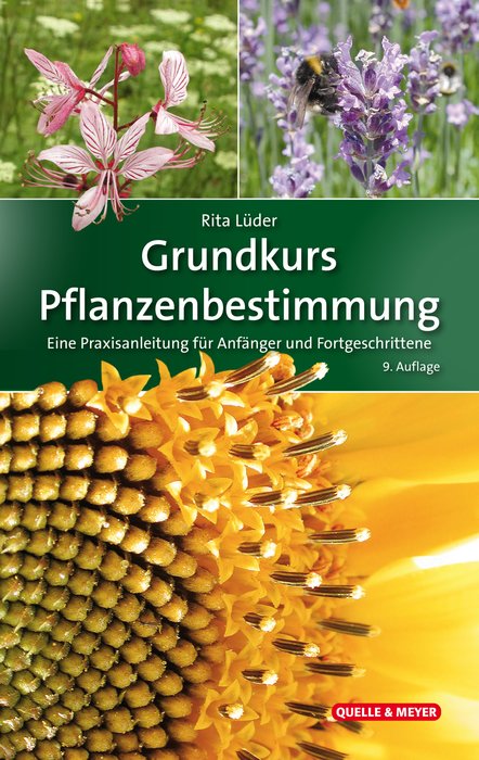 The Basics of Identifying Plants - A Guide for Beginners and the more Experienced (Grundkurs Pflanzenbestimmung - Eine Praxisanleitung für Anfänger und Fortgeschrittene) German Text