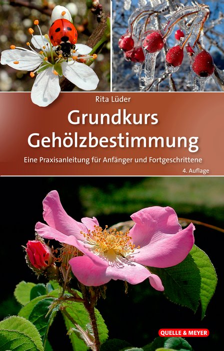 The Basics of Identifying Trees - A Guide for Beginners and the more Experienced (Grundkurs Pflanzenbestimmung - Eine Praxisanleitung für Anfänger und