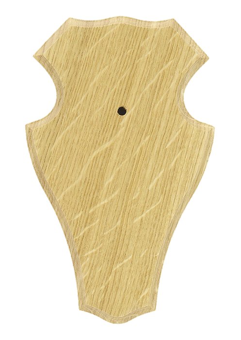 Antler Trophy Shield I Light with Bracket