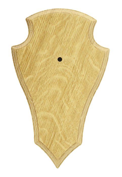 Antler Trophy Shield II Light with Bracket