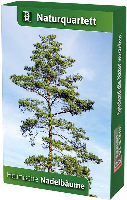 Quartet card game of native conifers