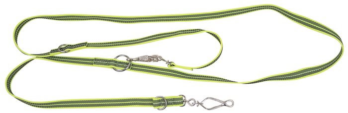 Reflector Dog Lead
