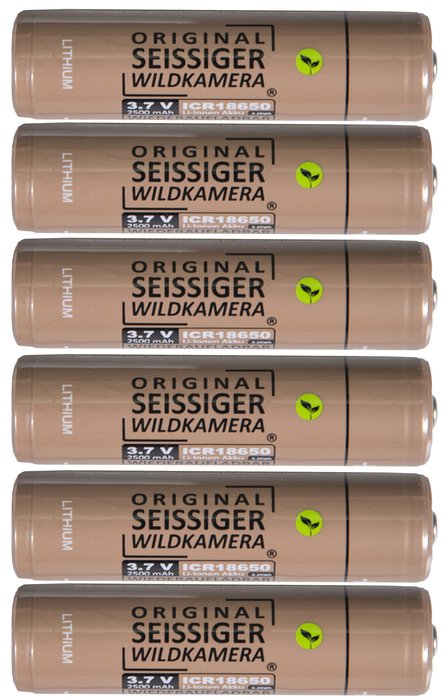 Seissiger Lithium-ion Rechargeable Batteries Pack of 6