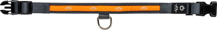 Blaser LED Dog collar