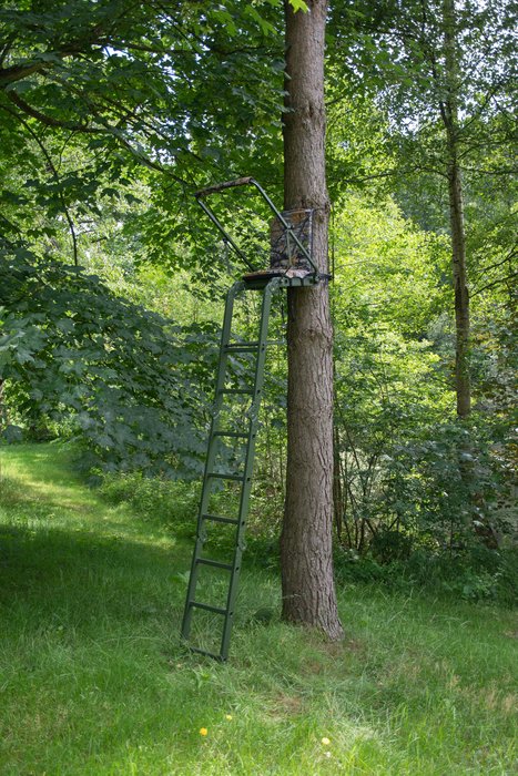 Berger & Schröter High Seat Ladder