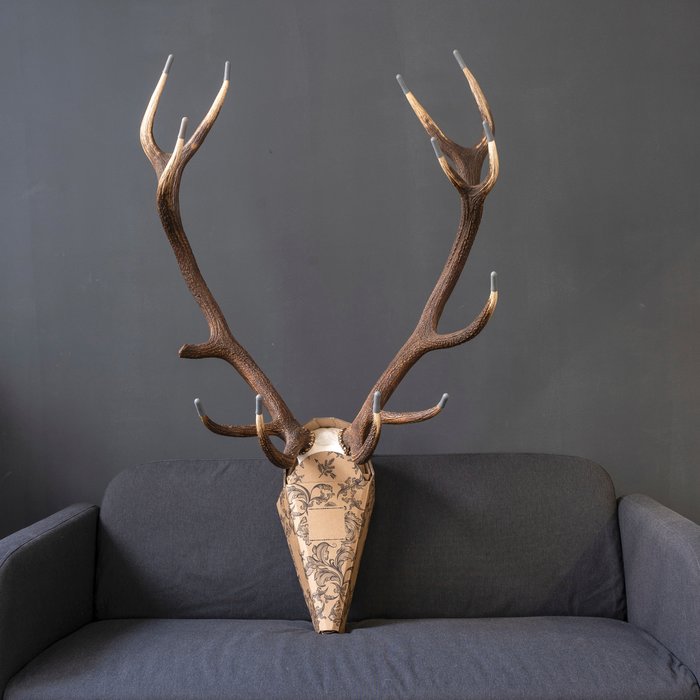 Skullyprotekt Red Deer Stag Trophy Protection