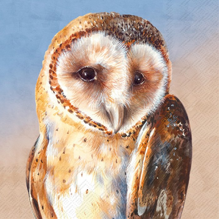IHR Owl Cocktail Serviettes