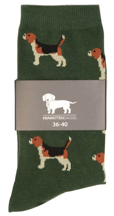 Krawattendackel Beagle Socks
