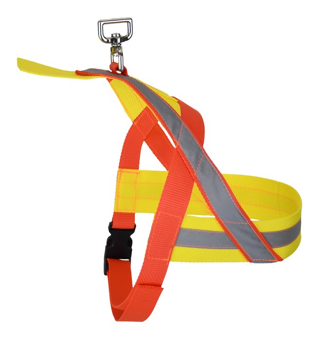 Tracking Harness