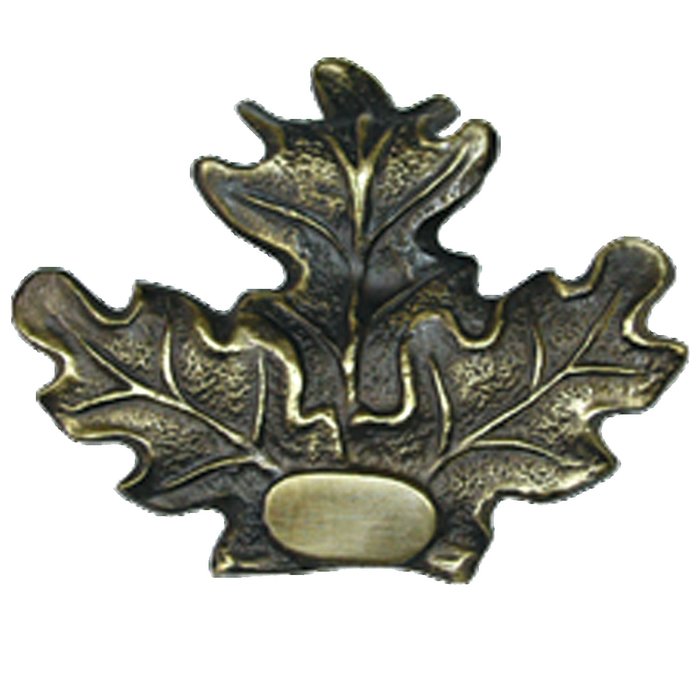 Bronze Oak Leaf