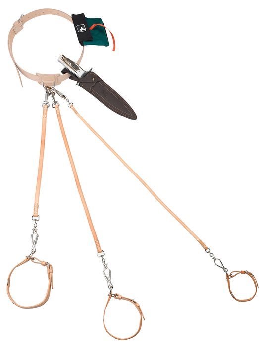 Dog Lead Belt