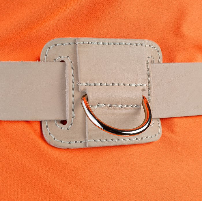 Accessory for a Dog Handler's Belt