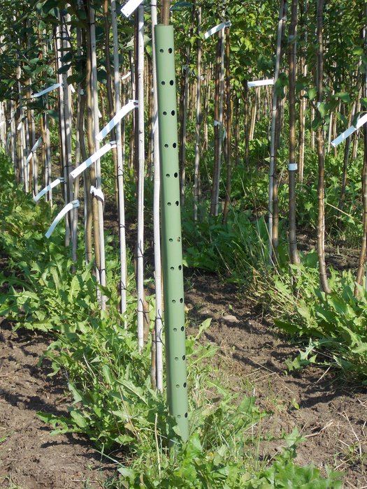 Game and Plant Protection Cuffs