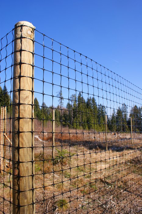 Wita Pro Plastic Game Fencing