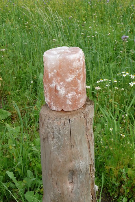 Salt lick made from Himalayan salt