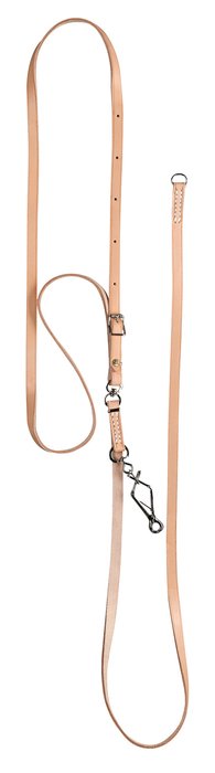 Wrap Around Lead with Buckles