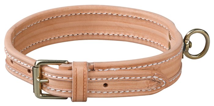 Tracking Collar