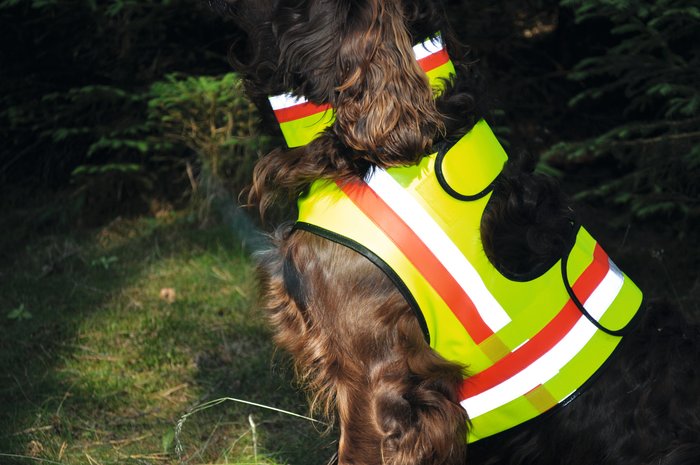 Nordforest Hunting High Visibility Dog Coat