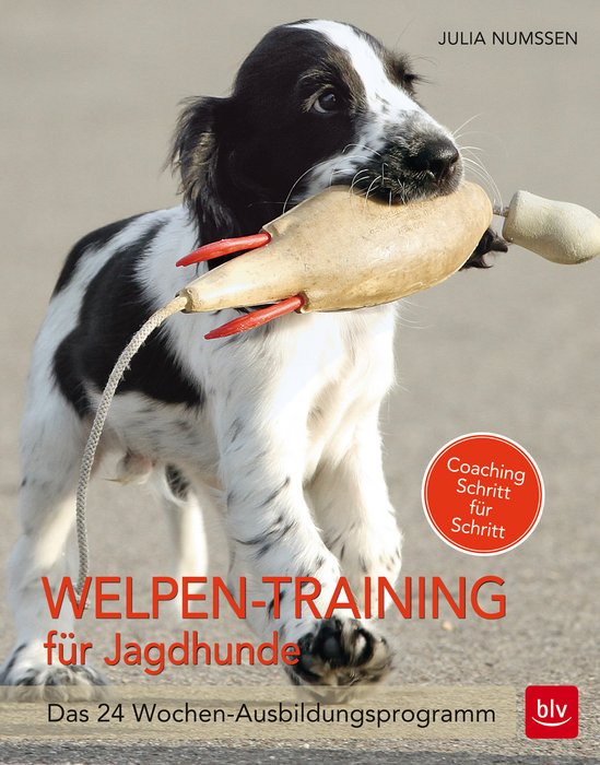 Welpen-Training für Jagdhunde - Das 24 Wochen-Ausbildungsprogramm (Gun Dog Puppy Training - the 24 Week Training Programme) German Text