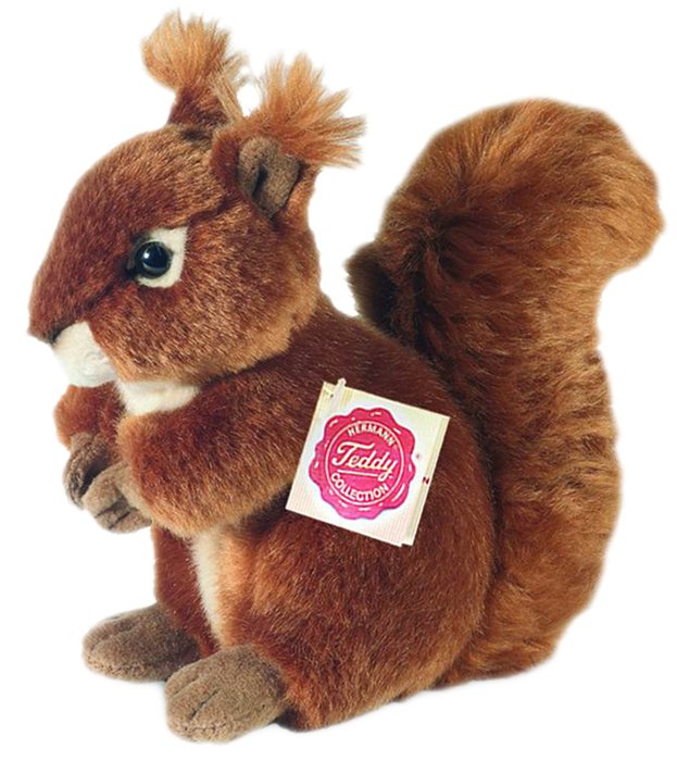 Squirrel Soft Toy