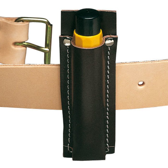 Leather Case