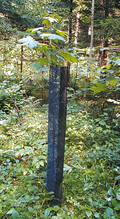 PlantaGard® Diagonal Netting Tree Protection Sleeves