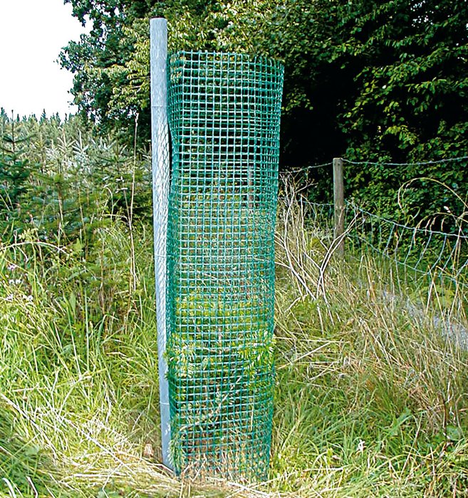 PlantaGard® Freiwuchs Lattice Sleeve Tree Protection