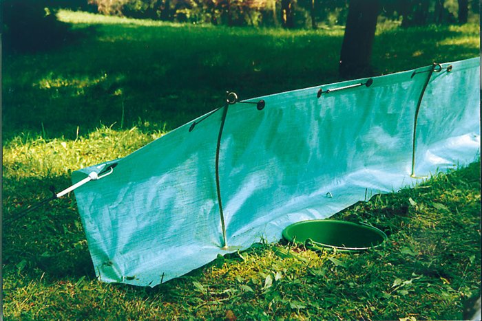Amphibian Protection Fence