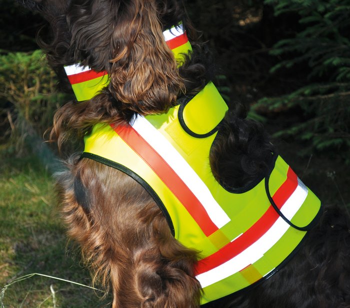Dog's High Visibility Coat