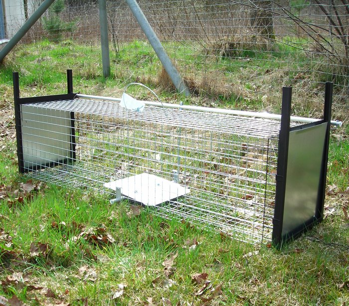 Predator Trap