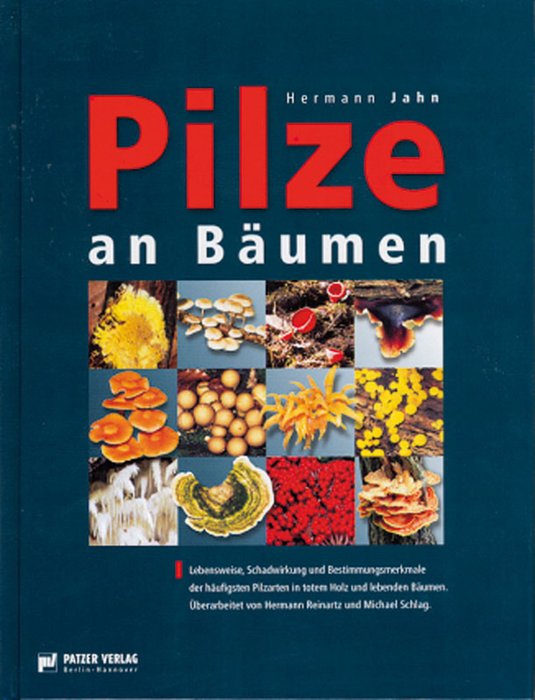 Tree Fungi (Pilze an Bäumen) German Text
