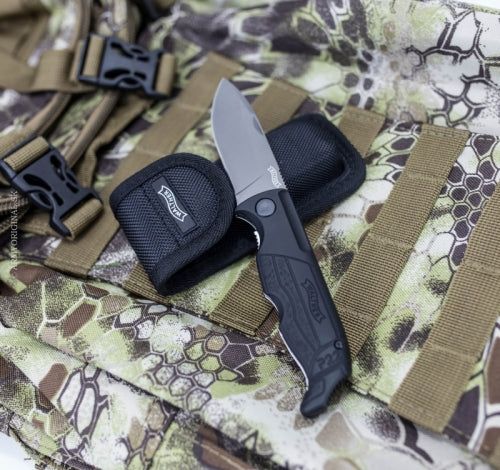 Saliekams nazis WALTHER P22