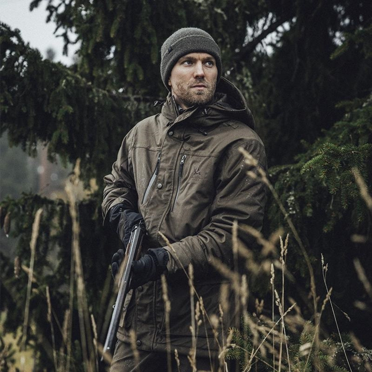 Jaka ALASKA Tundra, Sūna brūna