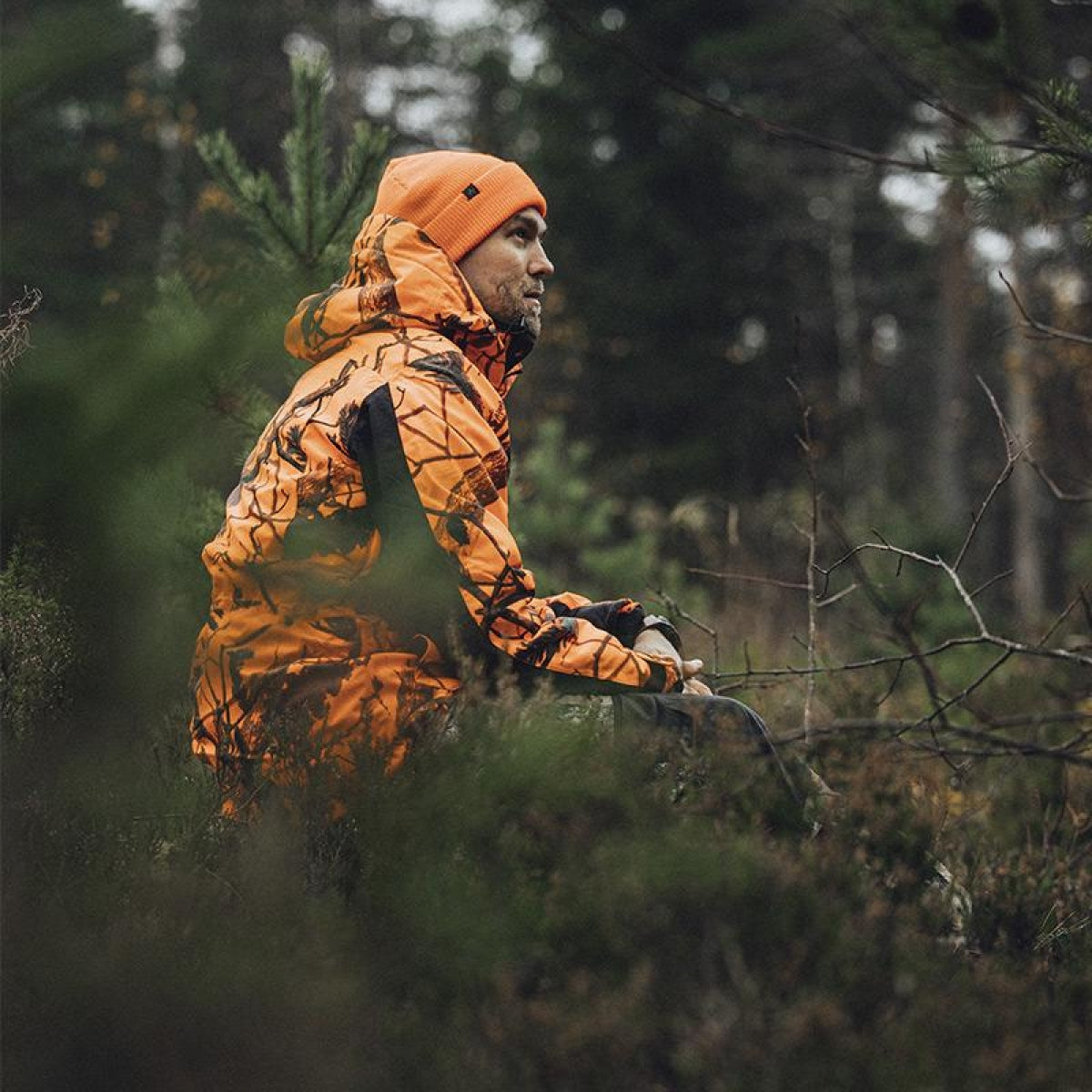 Jaka Alaska Tundra, Blaze 3D