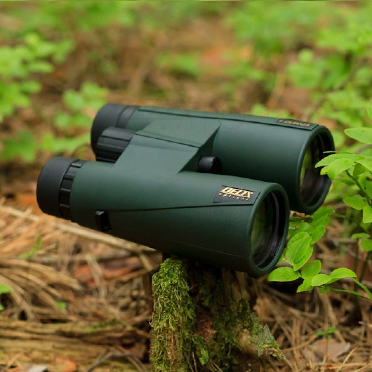 Binoklis Delta Optical Forest  II 12x50