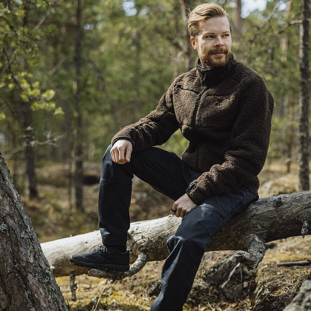 Jaka Alaska Teddy, Sūna brūna